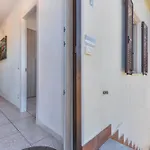 Marisol